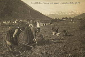 Craveggia (Val Vigezzo). Cartolina d'epoca ritraente donne alla raccolta delle patate.